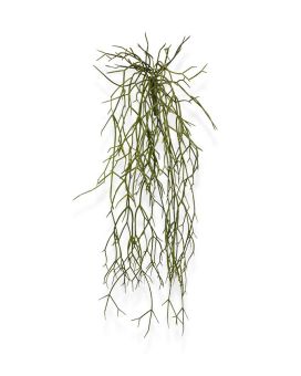 Rhipsalis Micrantha artificiel en chute de 55 cm