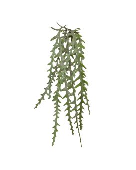 Plante murale artificielle Epiphyllum 60cm