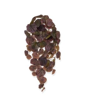 Peperomia Caperata en chute artificielle de 60 cm burgundy