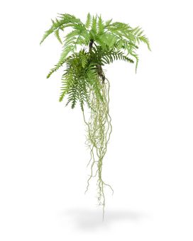 Tillandsia Fougère en chute artificielle de 90 cm