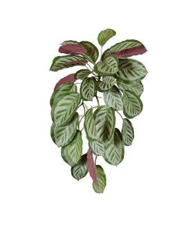Calathea rouge Roseopicta Plante Artificielle pendentif 70cm