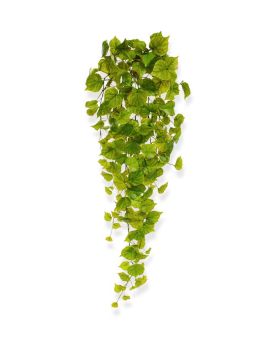 Peuplier Chute artificiell de 80 cm