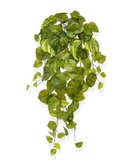 Pothos artificiel suspendu 55 cm varigué en pot