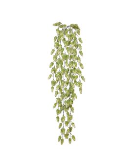 Plante murale artificielle Hop 80cm