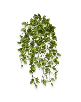 Peperomia Plante suspendue artificielle panachée 50cm