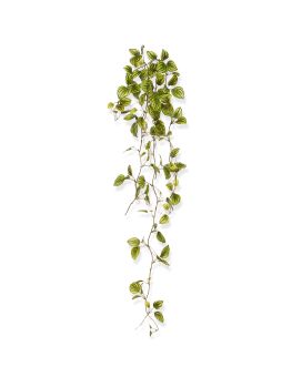 Peperomia Branche Artificielle Variegated 80cm