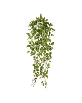 Peperomia Plante suspendue artificielle panachée 90cm
