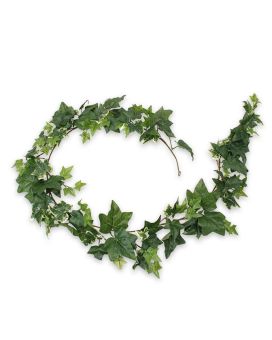 Guirlande de Hedera artificiel vert - multicolore 180 cm