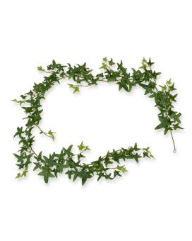 Guirlande d’Lierre d’étoile artificielle 180 cm verte