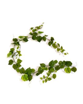 Pothos artificiel en guirlande de 180 cm panaché