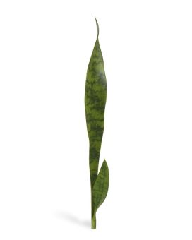 Bouquet de Sanseveria artificiel 60 cm