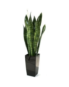 Sanseveria artificielle verte 70cm