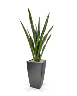 Sanseveria plante artificielle 78 cm