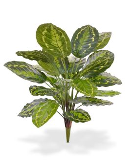 Calathea Roseopicta plante artificielle de 65 cm