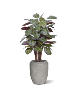 Calathea Roseopicta artificiel Deluxe 125cm rouge
