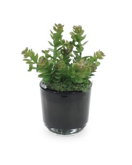 Plante Artificielle de Sedum Mini 18 cm