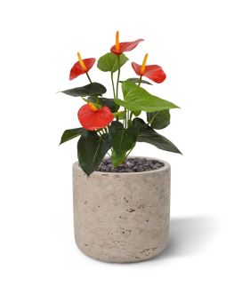 Bouquet d'Anthurium Artificiel 40 cm rouge