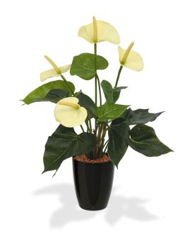 Plante d'Anthurium artificielle de 40 cm crème en pot de 10 cm