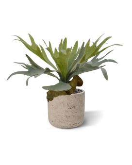 Corne d’élan plante artificielle 30 cm