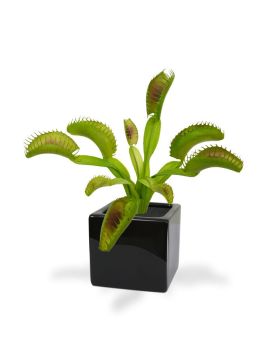 Plante Artificielle de Dionée 20 cm Attrape-mouche