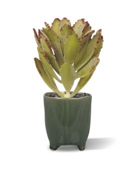 plante artificielle d’Echeveria Velvet 15 cm