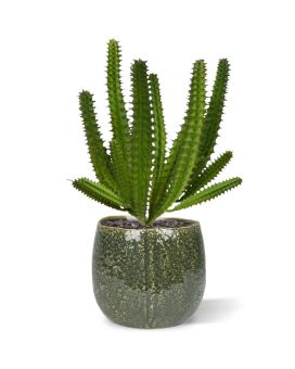 Petit Cactus Euphorbia plante artificiel 20 cm