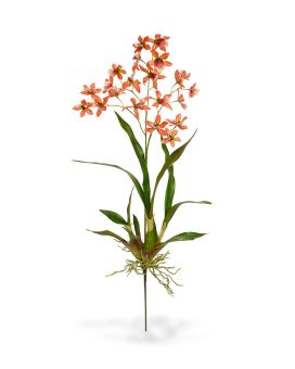 Orchidée Macara artificielle de 80 cm orange