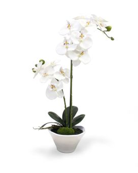 Phalaenopsis Orchidée Plante Artificielle 50 cm en bol