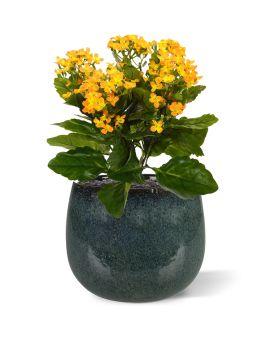 Plante artificielle de Kalanchoé 30 cm orange