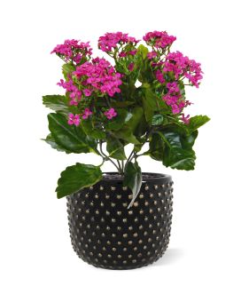 Kalanchoé plante artificielle 30 cm violet
