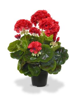 Géranium Plante artificielle 40 cm rouge en pot