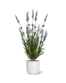 Lavande plante artificielle 50 cm UV bleu