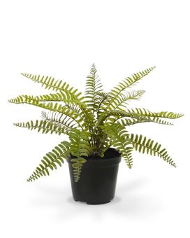 Fougère Asplenium plante artificielle de 35 cm en pot