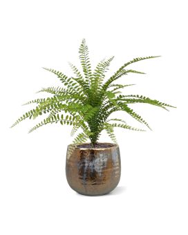 Fougère Asplenium plante artificielle de 45 cm