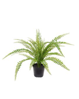 Fougère Asplenium plante artificielle de 45 cm en pot