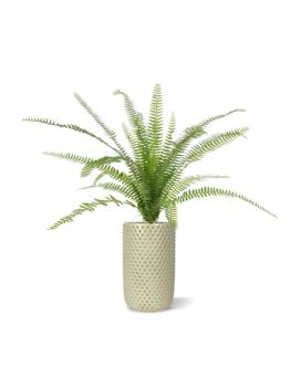 Plante artificielle Asplenium Fern 75 cm dans un pot de 12 cm