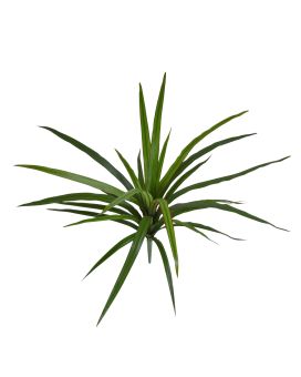 Draceana Marginata Plante Artificielle 40cm