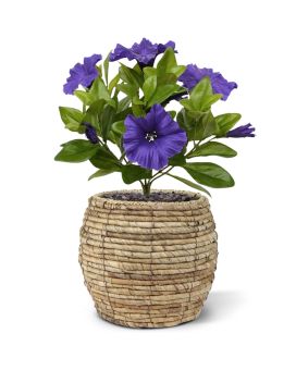 Petunia Plante Artificielle 25 cm violet