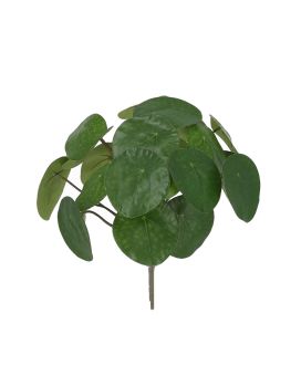 Plante Pancake Artificielle 30cm