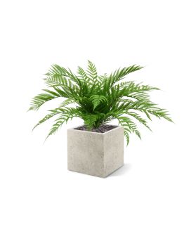 Fougère Alsophilla Plante Artificielle  de 75 cm UV