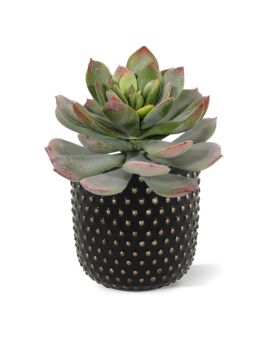 Echeveria plante artificielle de 25 cm vert-rouge