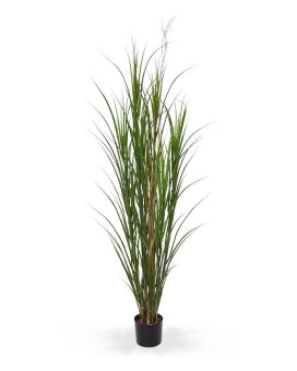 Herbe artificielle deluxe de 165 cm verte