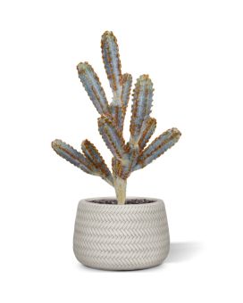 Cactus Tetragonus plante artificielle 45 cm brun