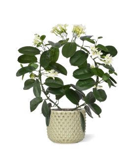 Stephanotis plante artificielle de 40 cm