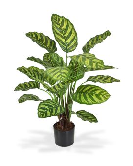 Calathea Makoyana Plante Artificielle 60 cm