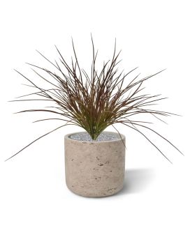 Herbe plante artificielle W 40cm Burgundy