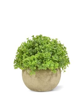 Mini Buis artificiel de 14 cm vert en pot