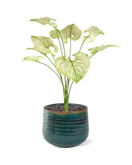 Plante artificielle de Brunnera 55cm creme-vert
