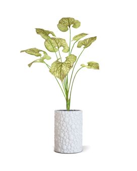 Plante artificielle de Brunnera 55cm vert-brun
