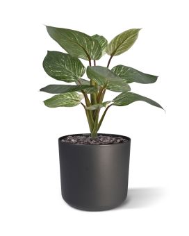 Philodendron Birkin Plante Artificielle 30cm